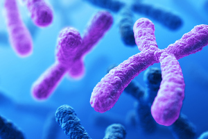 Study of “exceptional responders”